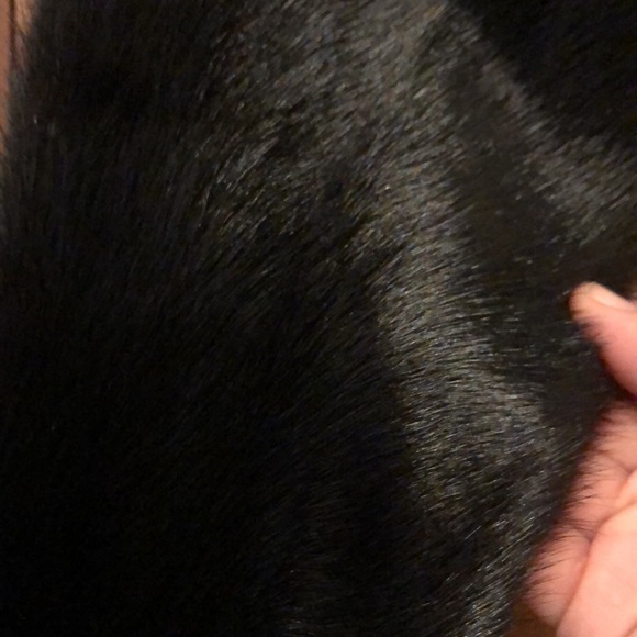 Vintage Mink Collar - Picture 3 of 14